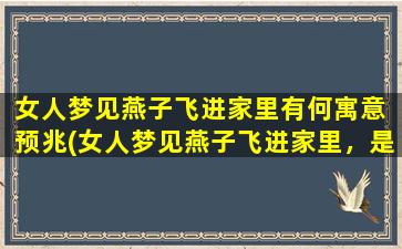 女人梦见燕子飞进家里有何寓意 预兆(女人梦见燕子飞进家里，是什么预示？寓意深刻！)